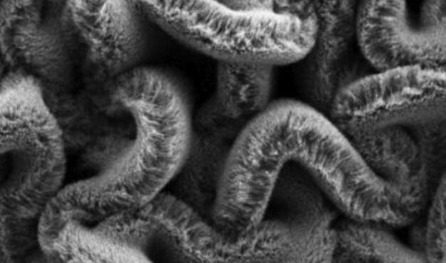 行业新闻：可拉伸的超等电容器，，，，，，为柔性可衣着装备铺路